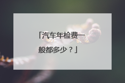 汽车年检费一般都多少？