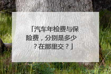 汽车年检费与保险费，分别是多少？在那里交？