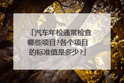 汽车年检通常检查哪些项目?各个项目的标准值是多少?