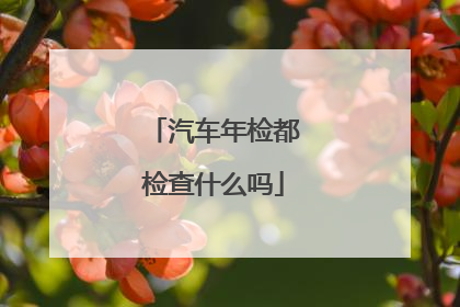 汽车年检都检查什么吗