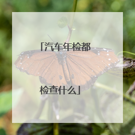 汽车年检都检查什么