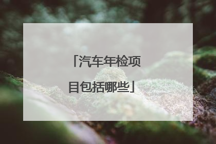 汽车年检项目包括哪些