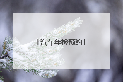 汽车年检预约