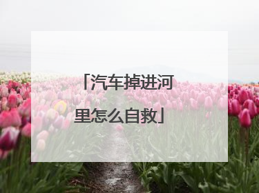 汽车掉进河里怎么自救