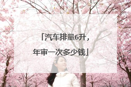 汽车排量6升,年审一次多少钱
