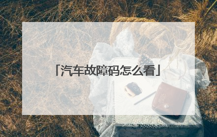 汽车故障码怎么看