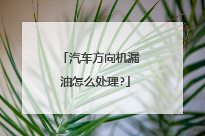 汽车方向机漏油怎么处理?
