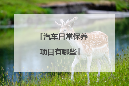 汽车日常保养项目有哪些