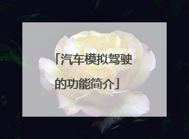 汽车模拟驾驶的功能简介