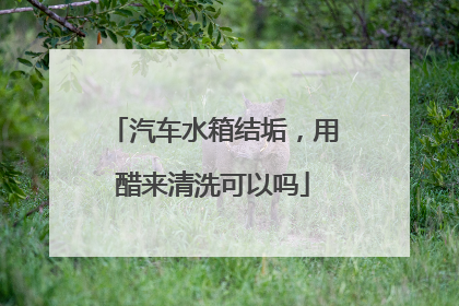 汽车水箱结垢，用醋来清洗可以吗