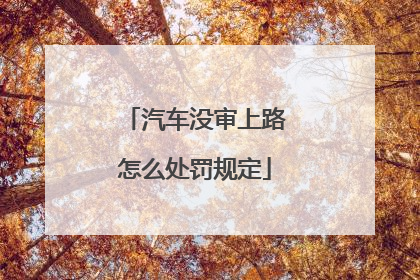 汽车没审上路怎么处罚规定