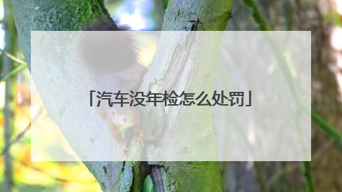 汽车没年检怎么处罚