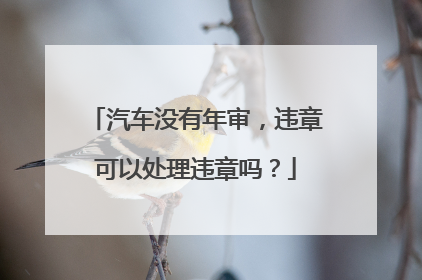 汽车没有年审，违章可以处理违章吗？