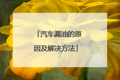 汽车漏油的原因及解决方法