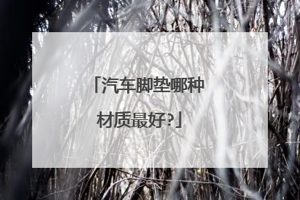 汽车脚垫哪种材质最好?