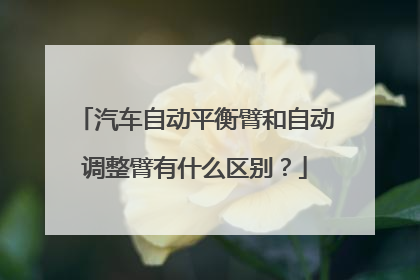 汽车自动平衡臂和自动调整臂有什么区别？