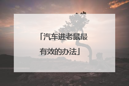 汽车进老鼠最有效的办法