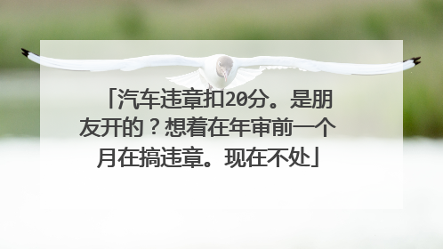 汽车违章扣20分。是朋友开的？想着在年审前一个月在搞违章。现在不处