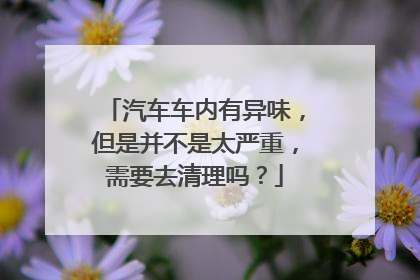 汽车车内有异味，但是并不是太严重，需要去清理吗？