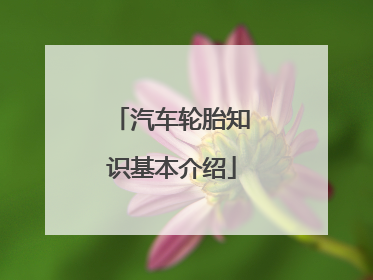 汽车轮胎知识基本介绍