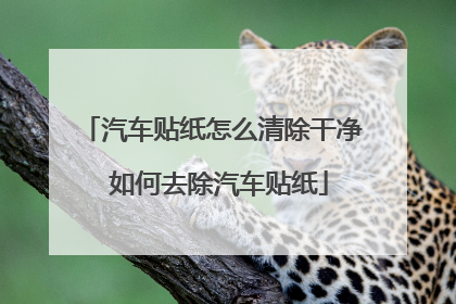 汽车贴纸怎么清除干净 如何去除汽车贴纸