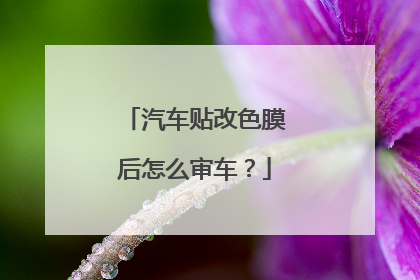 汽车贴改色膜后怎么审车？