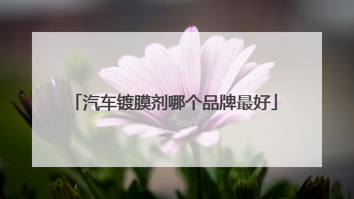 汽车镀膜剂哪个品牌最好