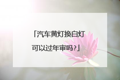 汽车黄灯换白灯可以过年审吗?