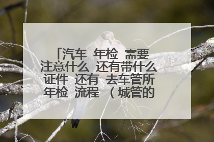 汽车 年检 需要 注意什么 还有带什么证件 还有 去车管所年检 流程 （城管的罚款需要缴吗？在哪