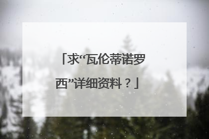 求“瓦伦蒂诺罗西”详细资料？
