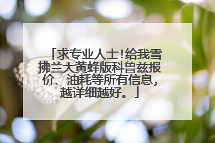 求专业人士!给我雪拂兰大黄蜂版科鲁兹报价、油耗等所有信息,越详细越好。