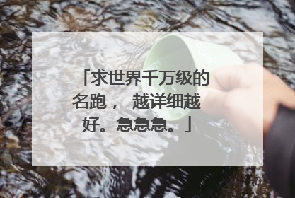求世界千万级的名跑， 越详细越好。急急急。