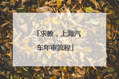 求教，上海汽车年审流程