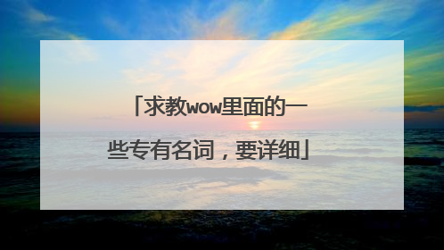 求教wow里面的一些专有名词，要详细