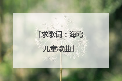 求歌词：海鸥 儿童歌曲