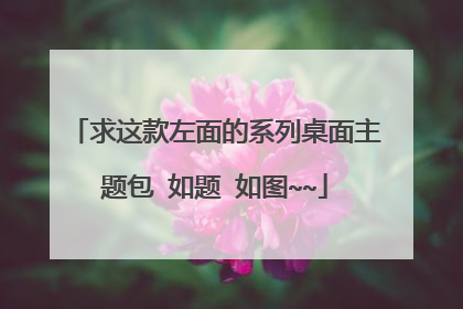 求这款左面的系列桌面主题包 如题 如图~~