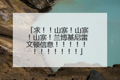求！！山寨！山寨！山寨！兰博基尼雷文顿信息！！！！！！！！！！！！