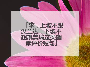 求，上坡不跟汉兰达，下坡不超凯美瑞这类幽默评价短句