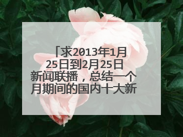 求2013年1月25日到2月25日新闻联播，总结一个月期间的国内十大新闻，详细介绍