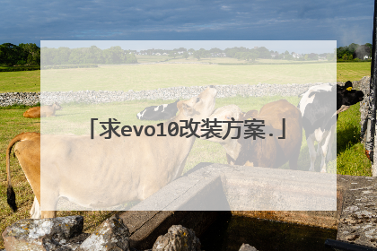 求evo10改装方案.