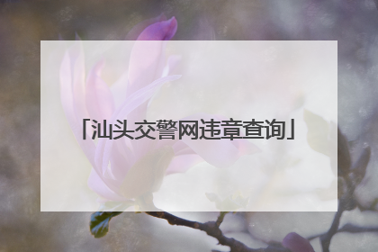 汕头交警网违章查询