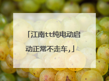 江南tt纯电动启动正常不走车,