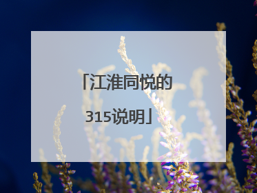 江淮同悦的315说明