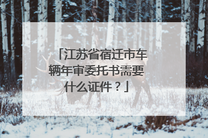 江苏省宿迁市车辆年审委托书需要什么证件？