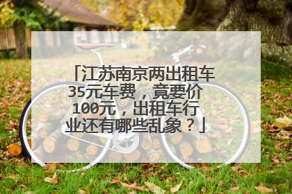 江苏南京两出租车35元车费，竟要价100元，出租车行业还有哪些乱象？