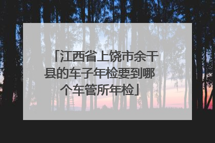 江西省上饶市余干县的车子年检要到哪个车管所年检