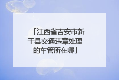 江西省吉安市新干县交通违章处理的车管所在哪