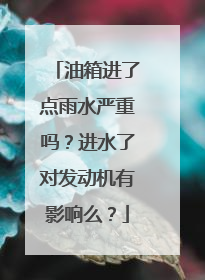 油箱进了点雨水严重吗？进水了对发动机有影响么？