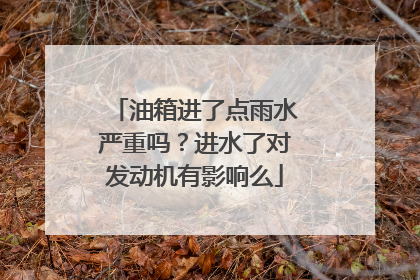 油箱进了点雨水严重吗？进水了对发动机有影响么