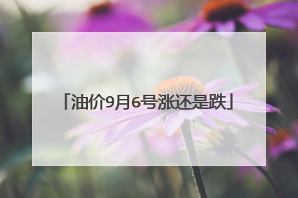 油价9月6号涨还是跌